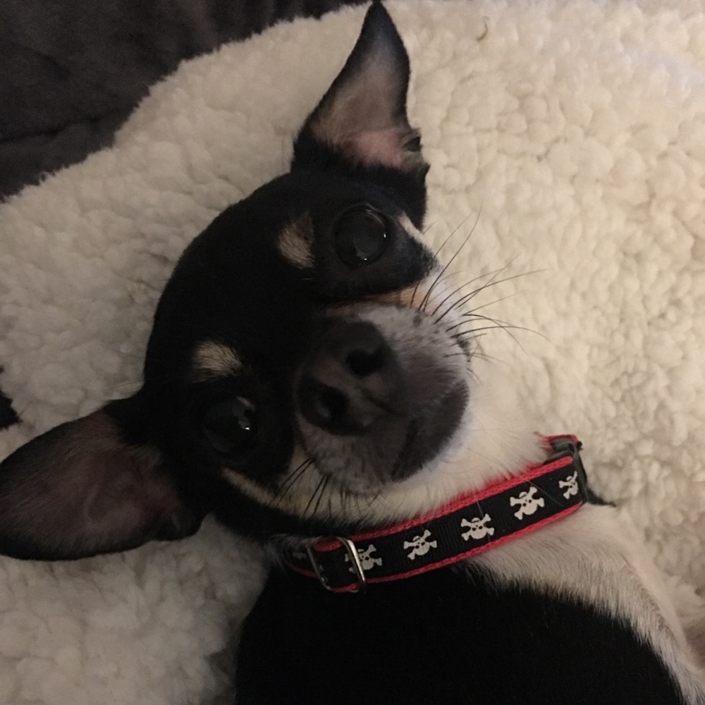 Meet your Posher, Kym